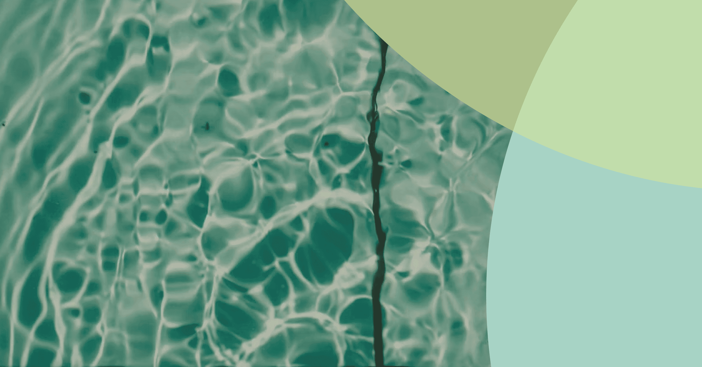 IFAs Face Insurance Challenges - But Here's How RIAAT Could Be The Game-Changer